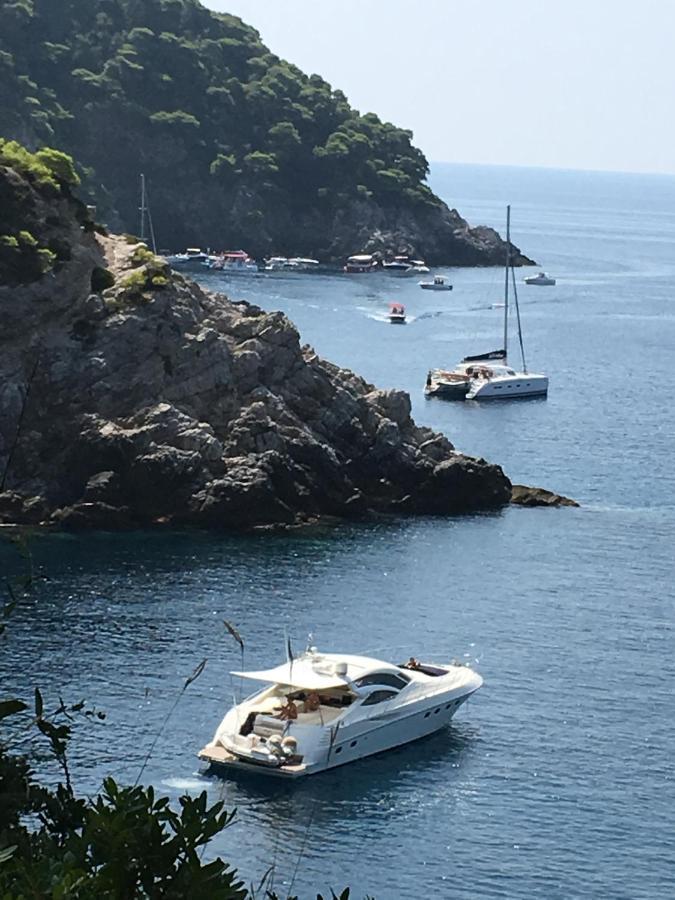 Villa Sea Dream Kolocep Gornje Celo Eksteriør bilde