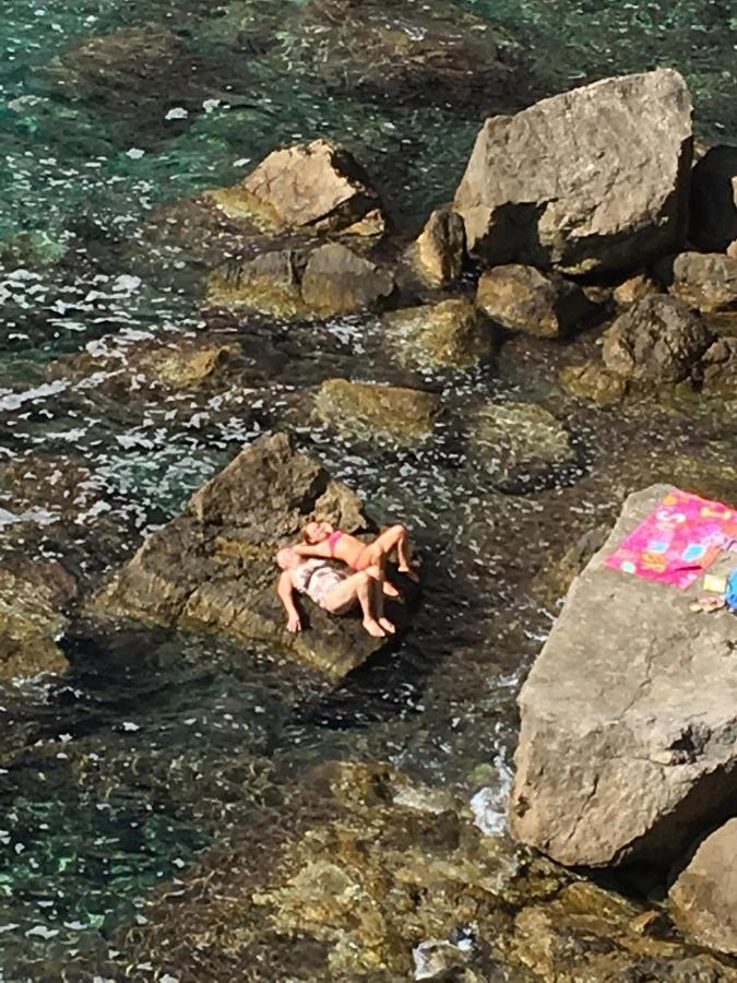 Villa Sea Dream Kolocep Gornje Celo Eksteriør bilde