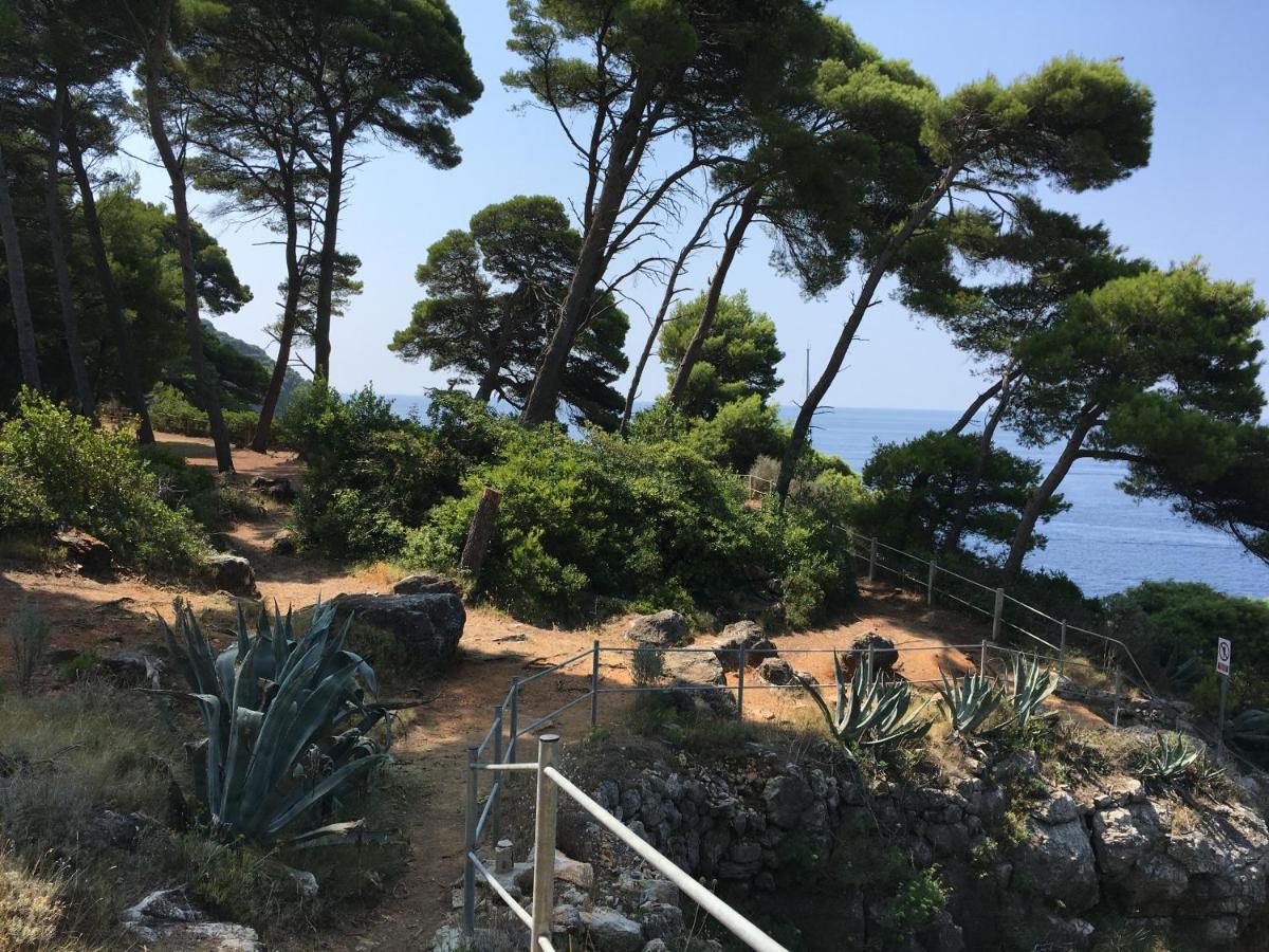 Villa Sea Dream Kolocep Gornje Celo Eksteriør bilde