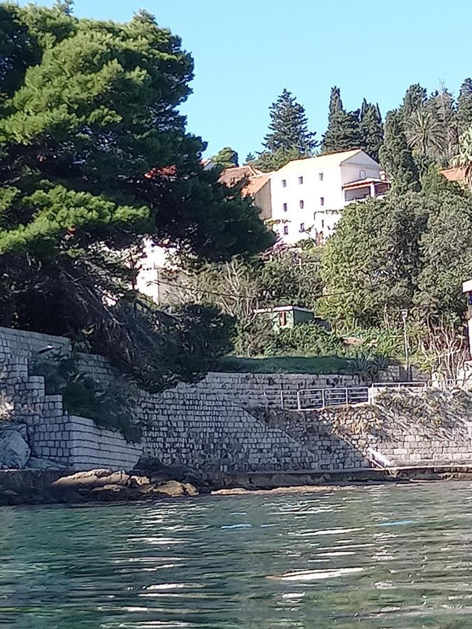 Villa Sea Dream Kolocep Gornje Celo Eksteriør bilde