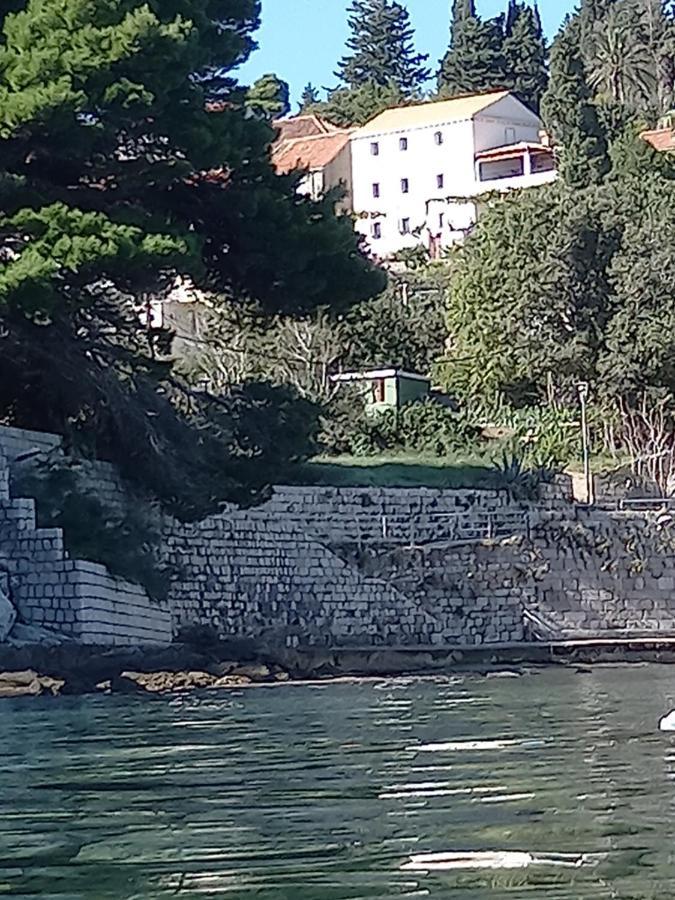 Villa Sea Dream Kolocep Gornje Celo Eksteriør bilde